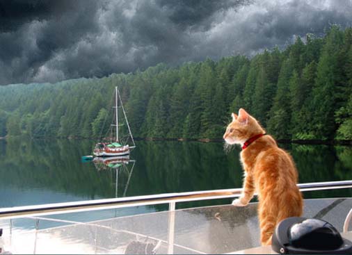 Captain Cat with Cloud Layering